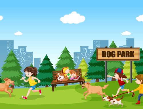 People and dogs at dog park illustration