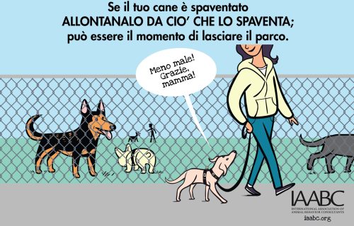 IAABC-DogPark-1B_italian